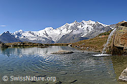 F121043: Kreuzbodensee und Mischabel