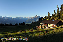 F121903: Alphütte im Berner Oberland mit Blick zum Niesen