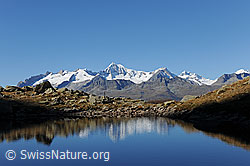 F122034: Spiegelung der Berner Alpen in Bergsee