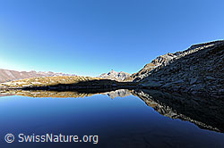 F122043: Spiegelung in Bergsee