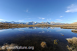 F122470: Spiegelung der Berner Alpen in Bergsee