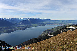F123076: Tiefblick auf Thunersee und zu den Voralpen mit Stockhornkette