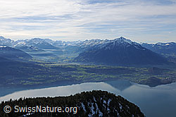 F123078: Stimmungsvolles Berner Oberland mit Kandertal, Thunersee und Niesenkette