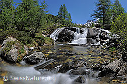 F123383: Wasserfall im lichten Lärchenwald