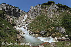 F123384: Wasserfall über Felsstufe aus Dolomit