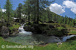 F123389: Wasserbecken in Naturlandschaft