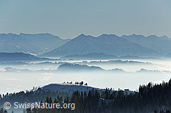 F126966: Blick vom Emmental über feines Nebelmeer zum Niesen