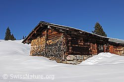 F127021: Alphütte in Winterlandschaft