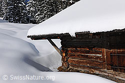 F127264: Alphütte im Schnee