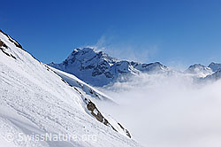 F127336: Schneefahnen am Ofenhorn