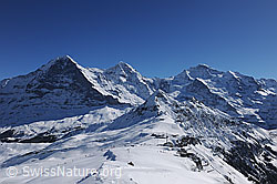 F127473: Winterliche Eiger, Mönch und Jungfrau vom Männlichen