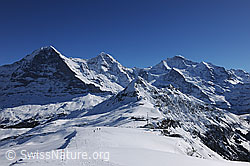 F127487: Winterliches Dreigestirn