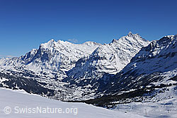 F127490: Grindelwald mit Wetterhorn und Schreckhorn