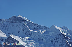 F127503: Jungfrau und Silberhorn