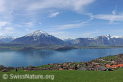 F128219: Blick auf Niesen, Stockhorn, Spiez und Thunersee aus der Region Sigriswil