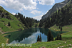 F129549: Am Walopsee