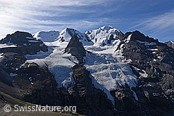 F132635: Blüemlisalpgruppe und Blüemlisalpgletscher vom Bundstock