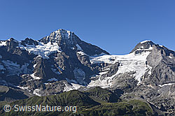 Foto: Lauterbrunnen Breithorn und Tschingelhorn vom Tanzbödeli