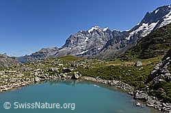 F132899: Blick über den Oberhornsee zur Jungfrau