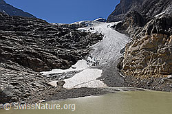 F132920: Schmale Gletscherzunge und Gletschersee