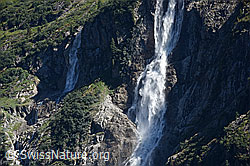 F132990: Schmadribachfälle (Holdrifäll)