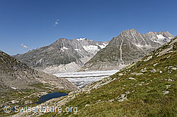 F133176: Grosser Aletschgletscher bei Märjela