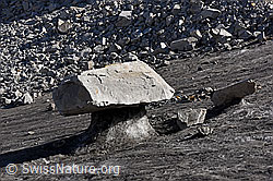 F133610: Grosser Gletschertisch