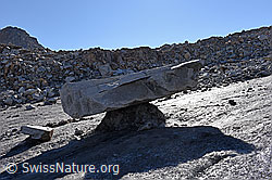 F133613: Grosser Gletschertisch