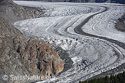 F134816: Der Eisstrom des Grossen Aletschgletschers