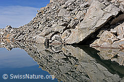 F134883: Spiegelung eines Geröllfeldes in Bergsee