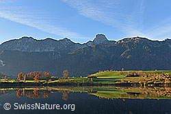 F135598: Stockhornkette mit Spiegelung im Vordergrund