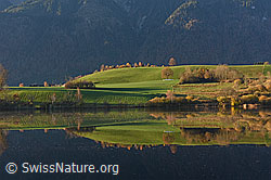 F135603: Spiegelung einer grünen Hügellandschaft
