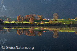 F135606: Spiegelung einer Herbstlandschaft im Übeschisee