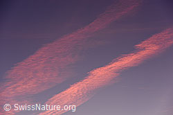 F136042: Farbige Wolken am Morgenhimmel