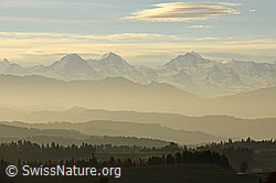 F136074: Fein abgestufte Hügelsilhouetten vor Eiger, Mönch und Jungfrau