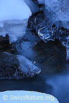 F136744: Kunstvolle Eisgebilde in Bergbach (Langzeitbelichtung)