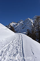 F137209: Winterwanderweg
