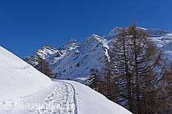 F137210: Winterwanderweg