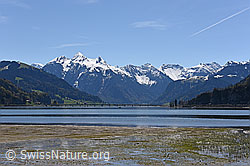 F137628: Sihlsee und Fluebrig