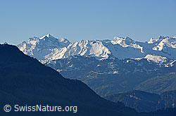 F137657: Zentralalpen vom Rooterberg