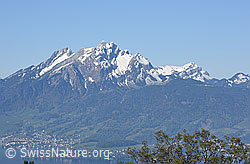 F137691: Pilatus von ENE (Seebodenalp)