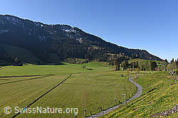 F137693: Entwässerte Moorfläche auf der Seebodenalp