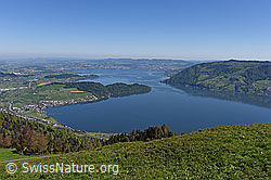 F137753: Zugersee von der Seebodenalp