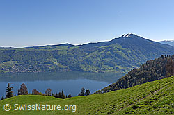 F137754: Zugersee und Wildspitz
