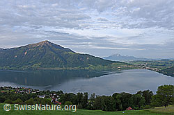 F138064: Zugersee und Rigi
