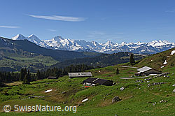 F138427: Alphütten vor Berner Alpen