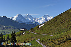 F138440: Alphütte vor Eiger, Mönch und Jungfrau