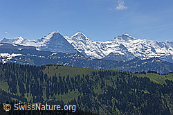 F138488: Eiger, Mönch und Jungfrau