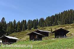 F138499: Alphütten im Hohgantgebiet