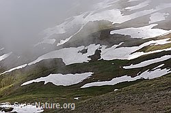 F138628: Schneeverwehungen bei Furggerchäller